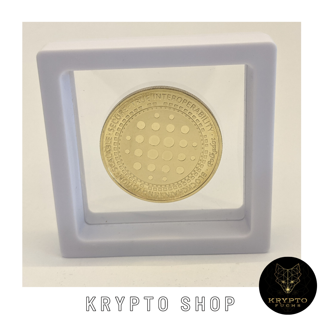 Polkadot DOT Kryptomünze