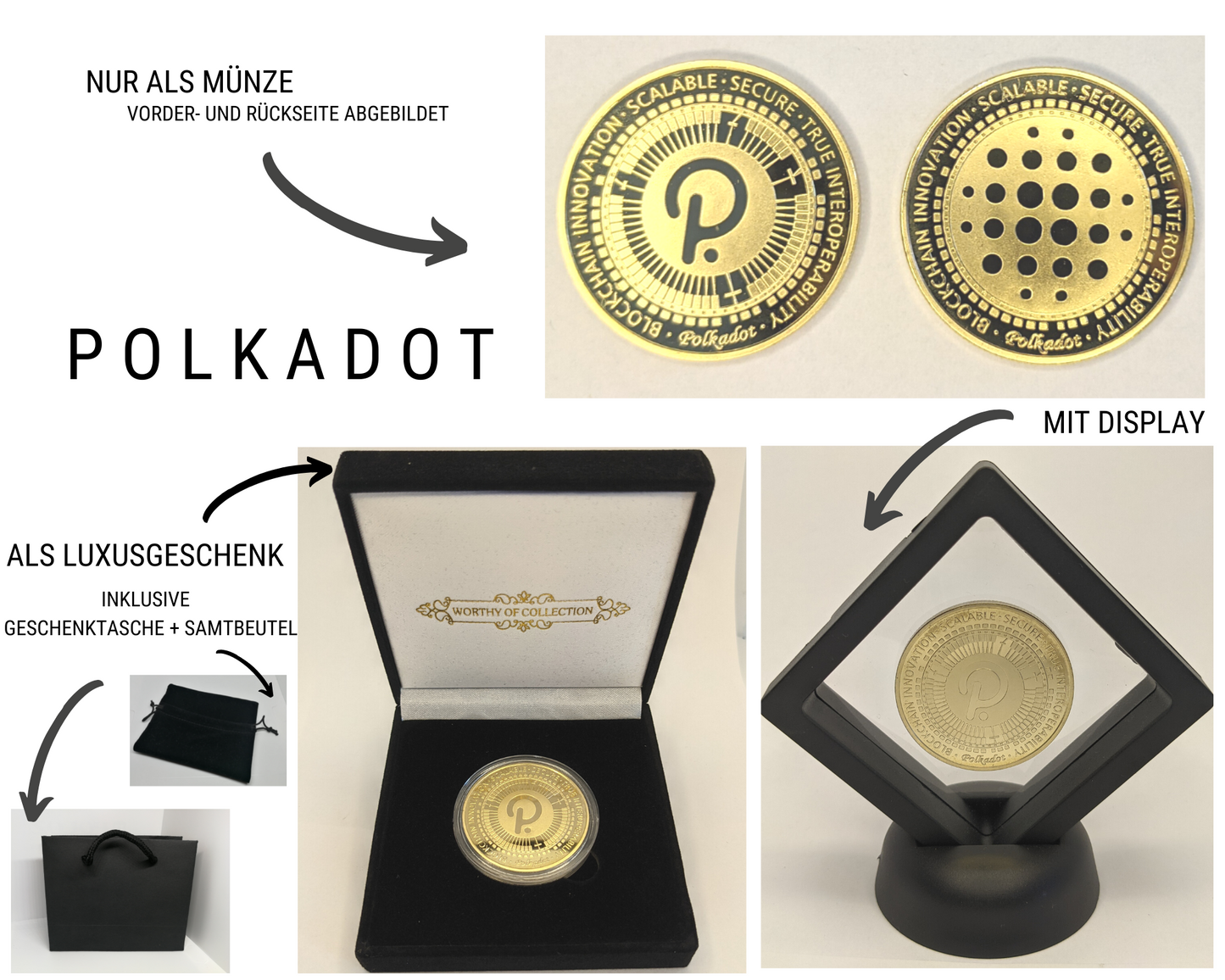 Polkadot DOT Kryptomünze