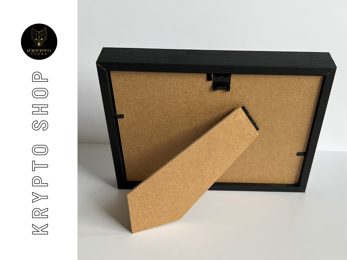 Krypto Kunst "The Dollar is lost" – Rückseite | KryptoFuchs