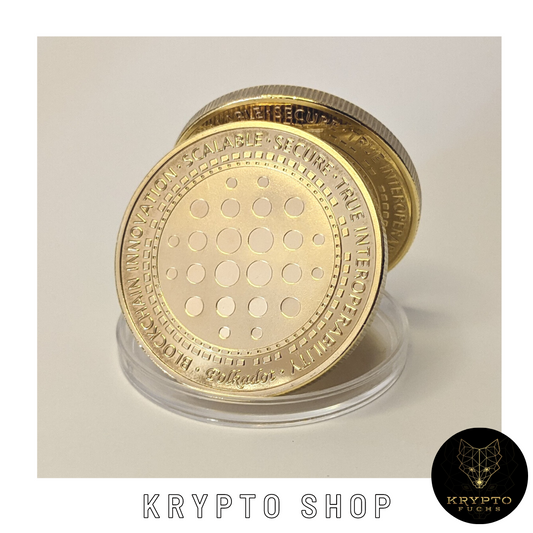Polkadot DOT Kryptomünze – Rückseite | KryptoFuchs