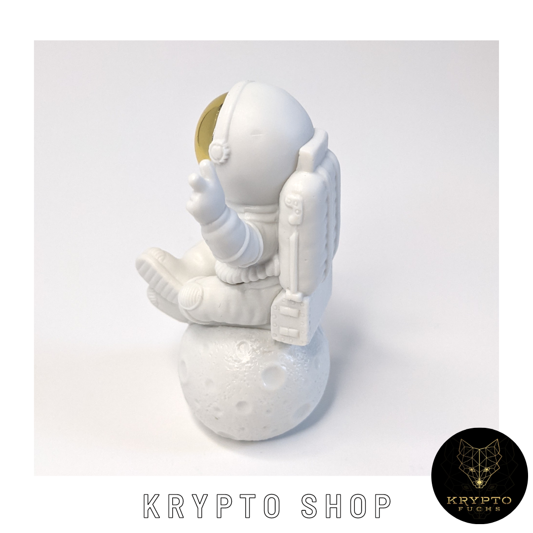 Krypto Astronaut – Ansicht 17 | KryptoFuchs