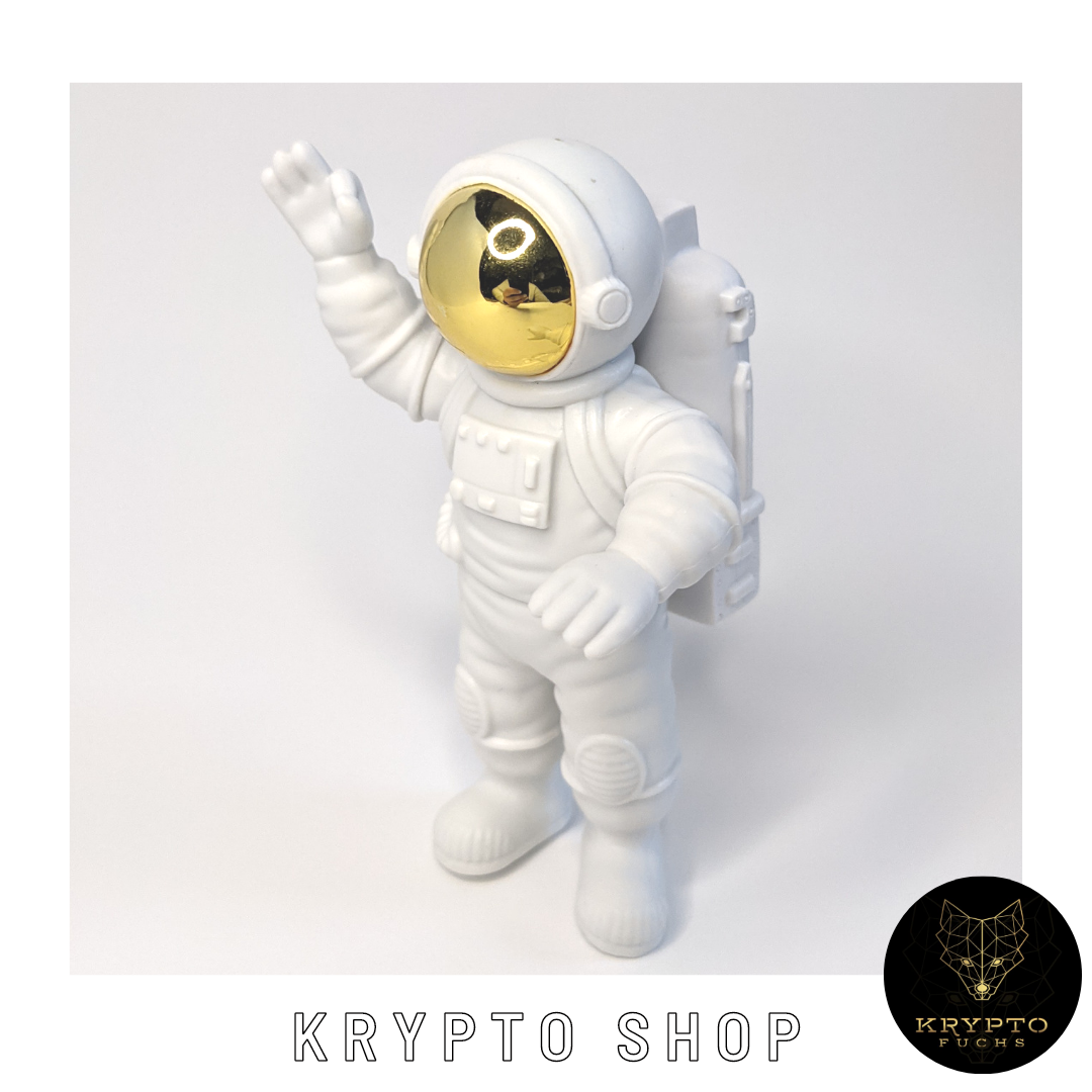 Krypto Astronaut – Detailansicht Helm | KryptoFuchs